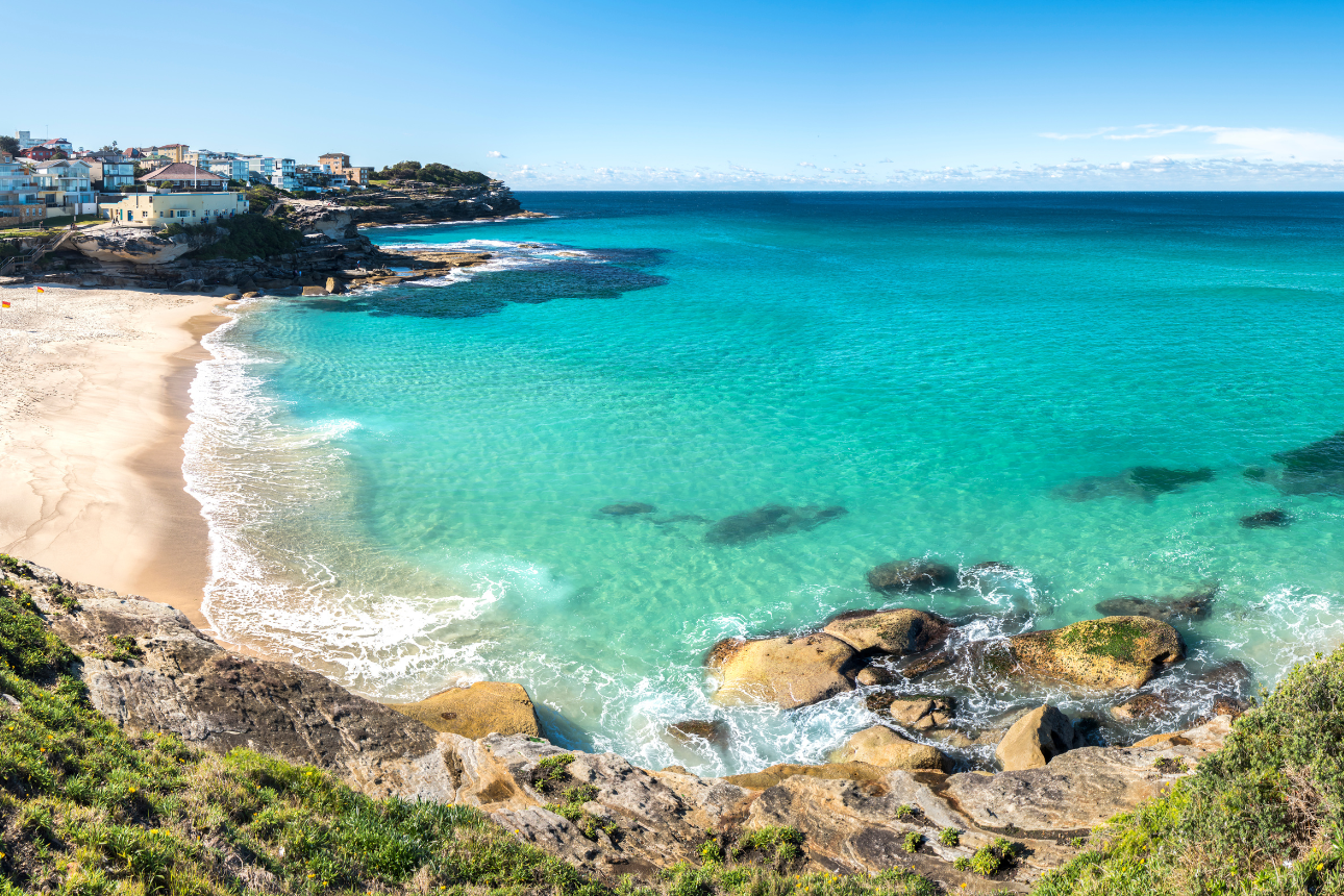 Article autism swim dippers bronte beach slsc