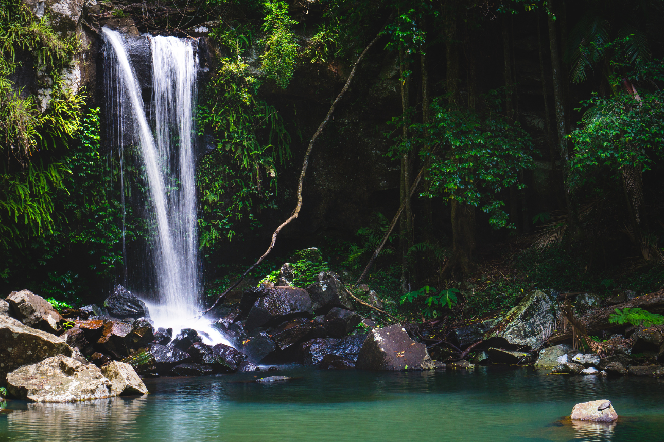 Article behaviour support ndis gold coast tamborine rainforest