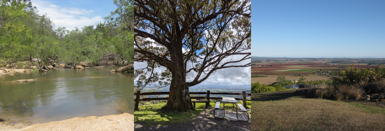 Article behaviour support practitioner Atherton Tablelands positive