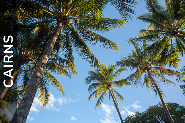 Connecting in Cairns: Meet Your Local Behaviour Support Practitioner, Joel Cerdor