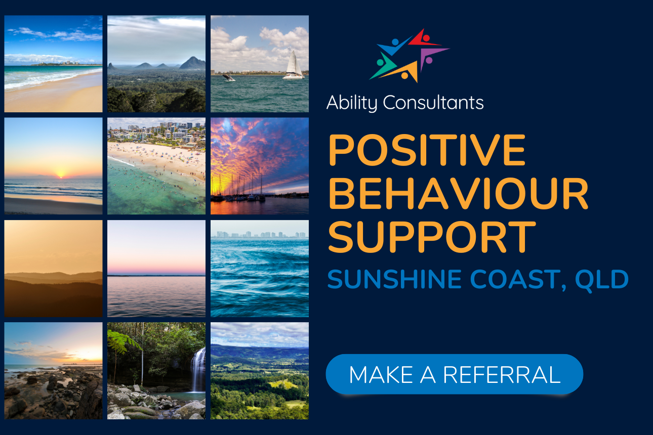 Article behaviour support practitioner sunshine coast autism