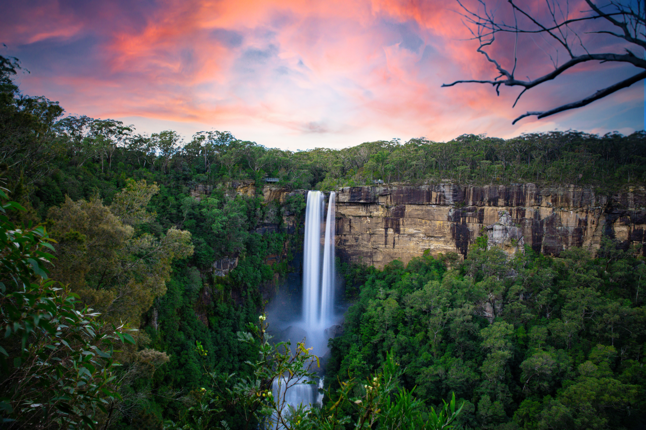 Article behaviour support southern highlands fitzroy falls