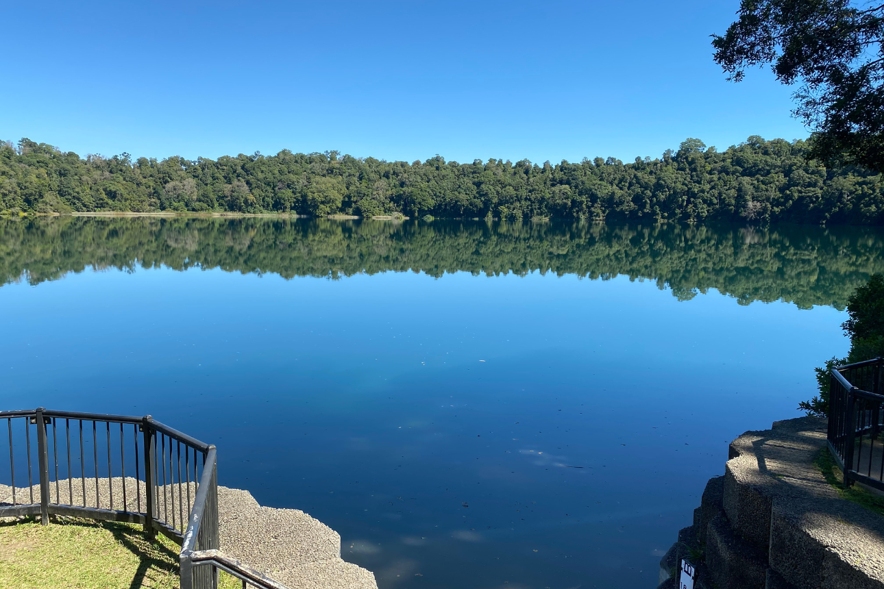 Article ndis behaviour support atherton tablelands qld