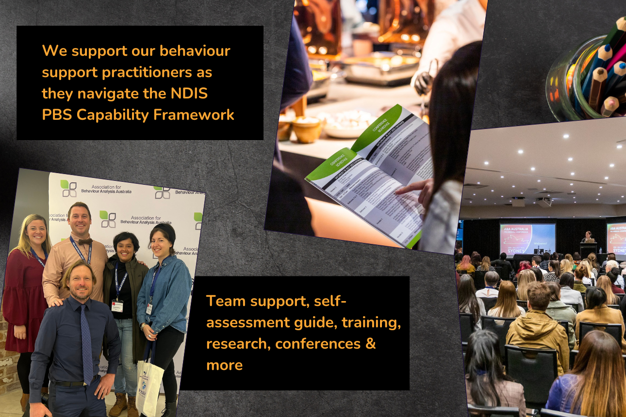 Article NDIS pbs capability framework training