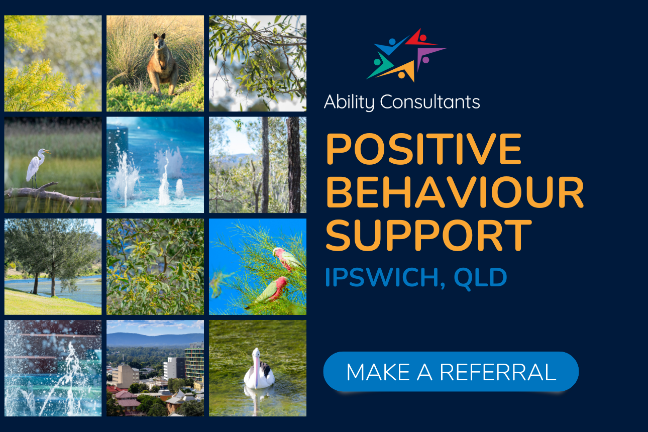 Article ndis positive behaviour support practitioner ipswich QLD