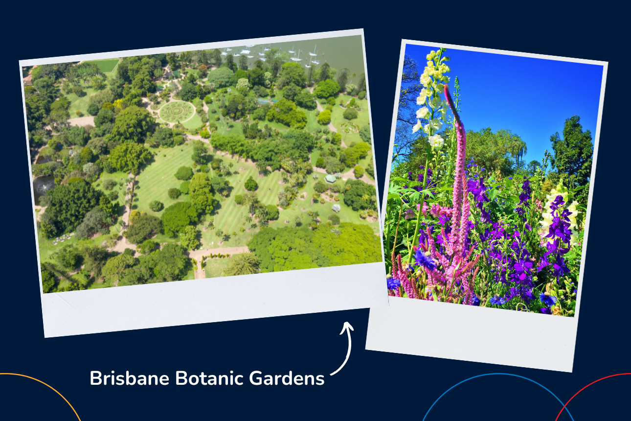 Article positive behaviour support brisbane botanic gardens