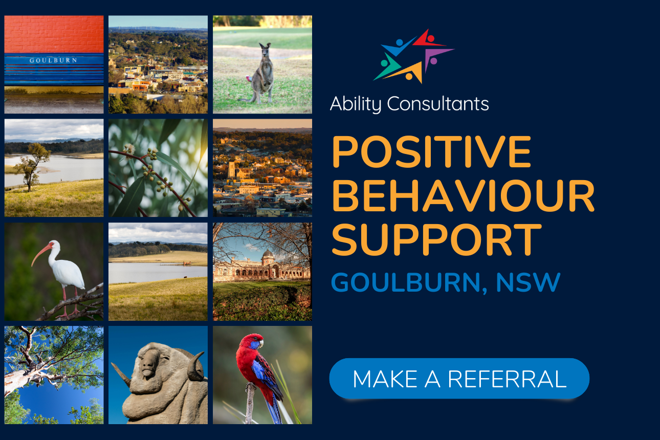 Article positive behaviour support ndis goulburn