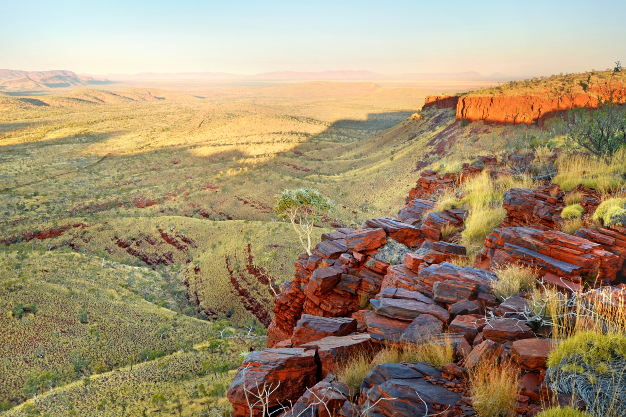 Article positive behaviour support ndis karijini