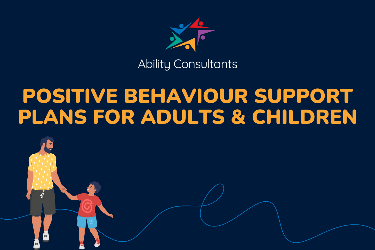 Article positive behaviour support plan blacktown