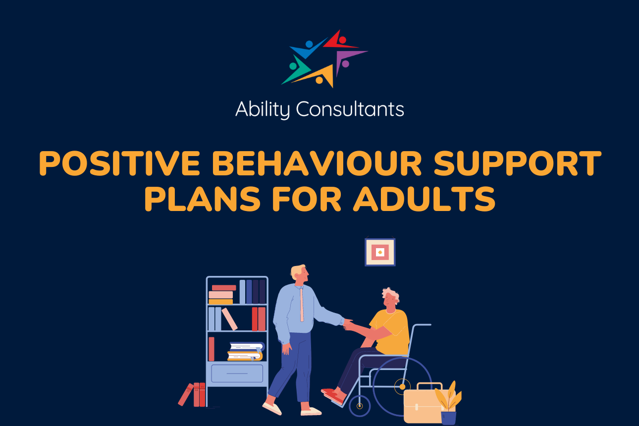 Article positive behaviour support plans adults liverpool nsw