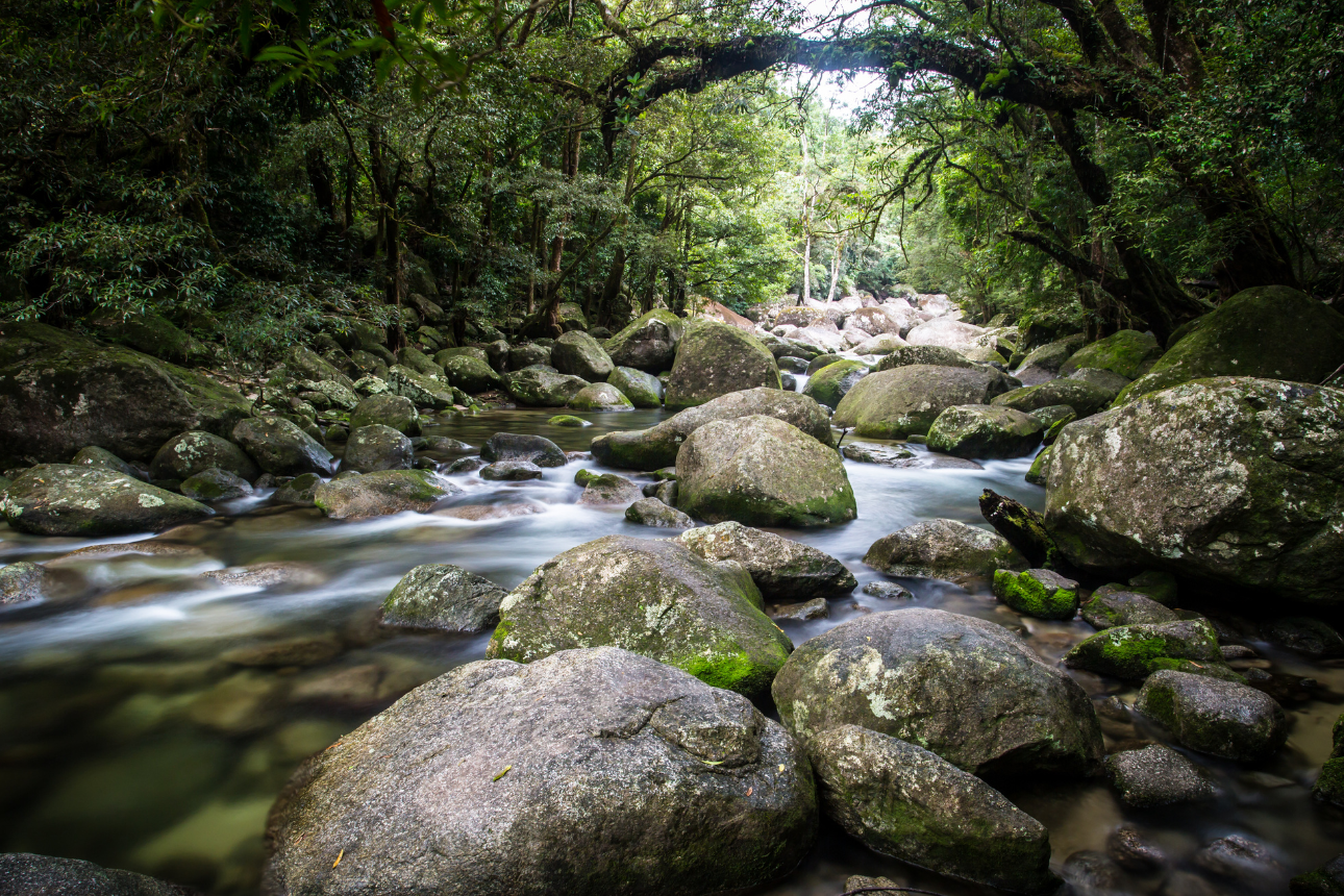 Article positive behaviour support plans cairns qld