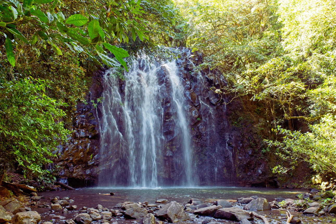 Article positive behaviour support practitioner cairns fnq