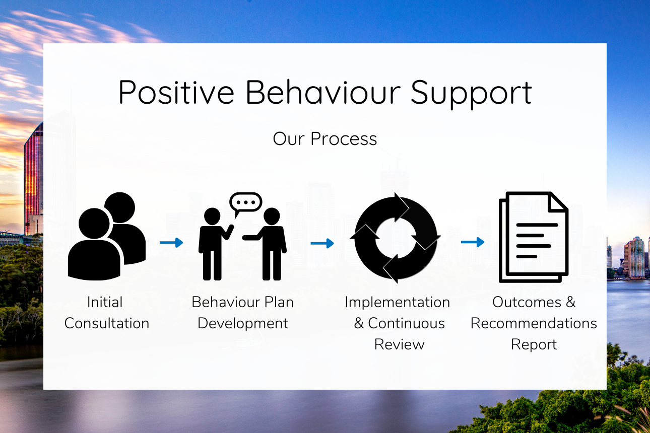 Article positive behaviour support process Brisbane