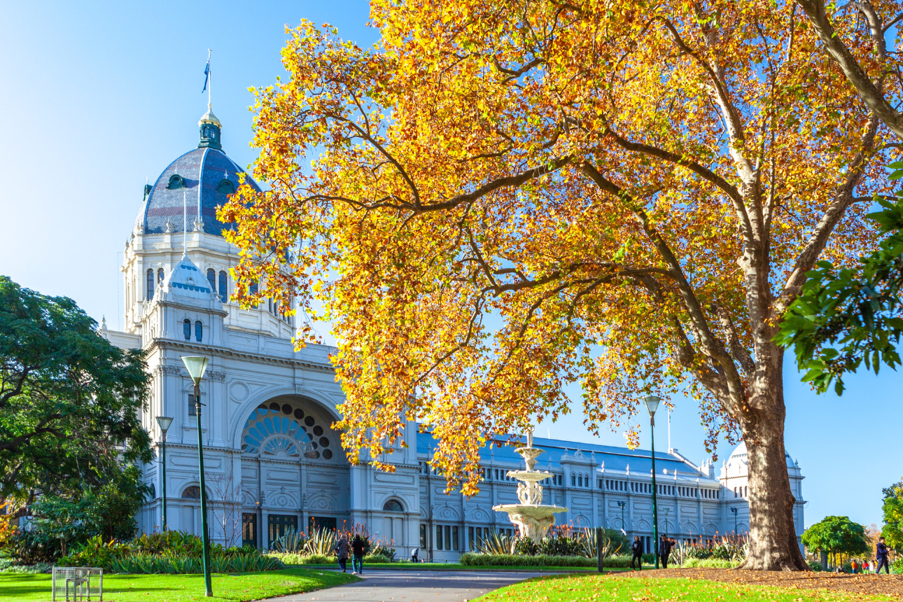 Article positive behaviour support richmond melbourne victoria