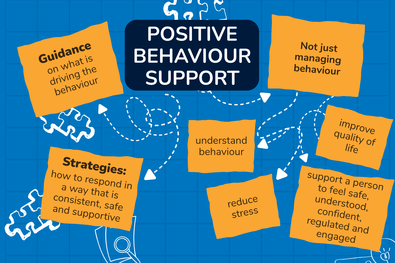 Article what does ndis pbs behaviour support practitioner do ability consultants